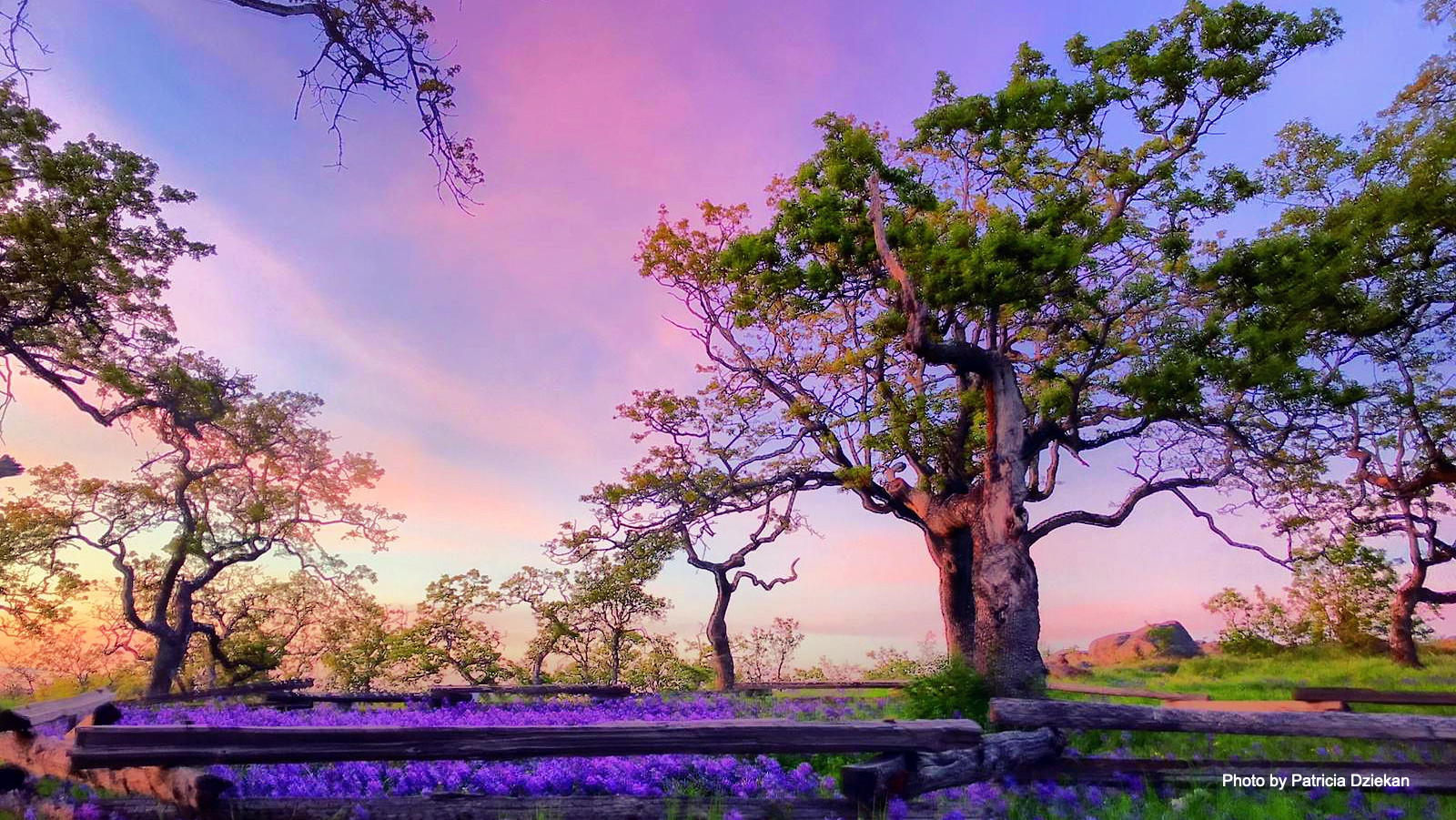 Colourful sunset at Summit Park Victoria, BC