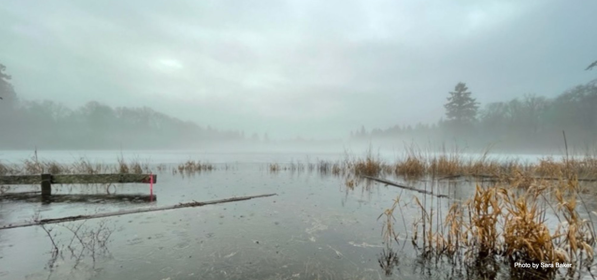 Foggy misty lake in foreground with trees in the distance