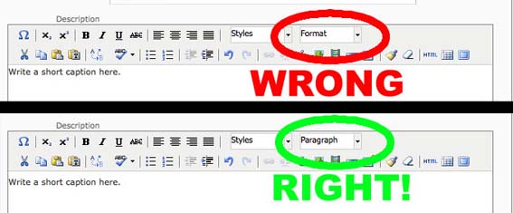 Make sure you are using 'Paragraph' format.