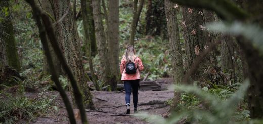 Woman seen from the back as she hikes through a forest
