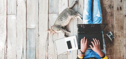 overhead view of kid on laptop with cat next to them