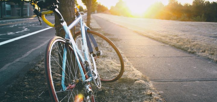 bicycle leaning against tree