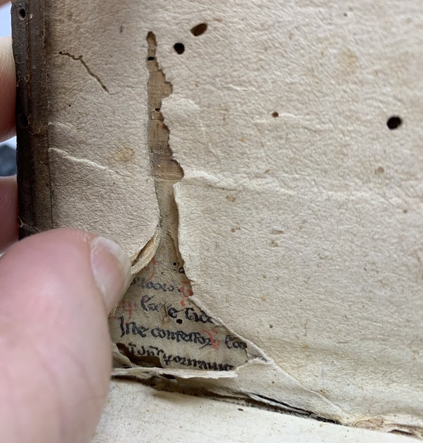 image of a manuscript fragment revealed after bookworm damage to the host volume
