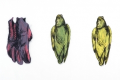 Hellner | Glove, Pigeon, Pigeon | graphite and acrylic on mylar