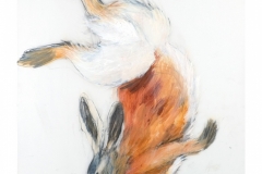 Hellner | Rabbit | graphite and acrylic on mylar